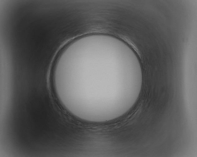 X0000101190579200806270849