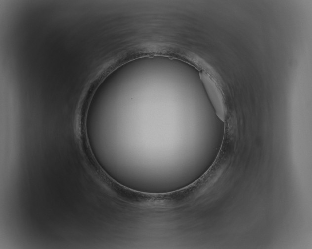 X0000101190581200806270849