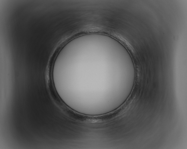 X0000101190582200806270849
