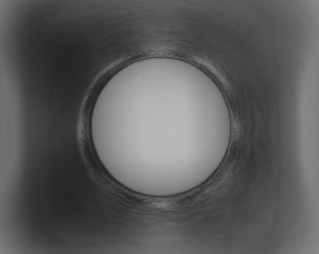 X0000101190583200806270849