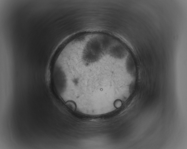 X0000101190584200806270849