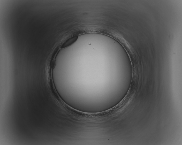 X0000101190585200806270849