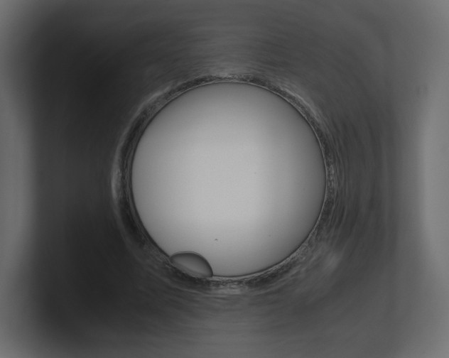 X0000101190587200806270849