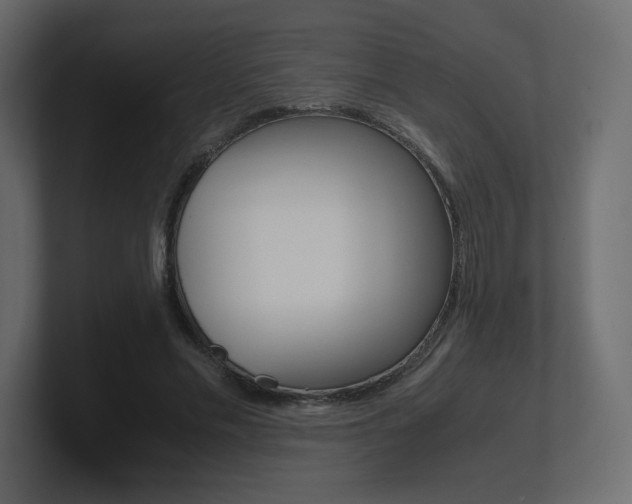 X0000101190589200806270849