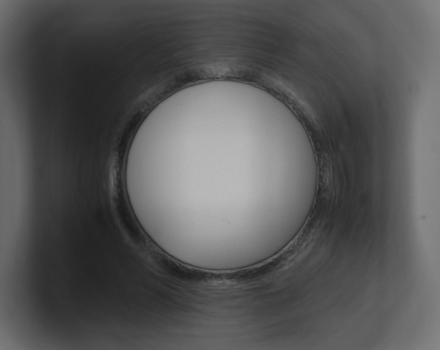 X0000101190590200806270849