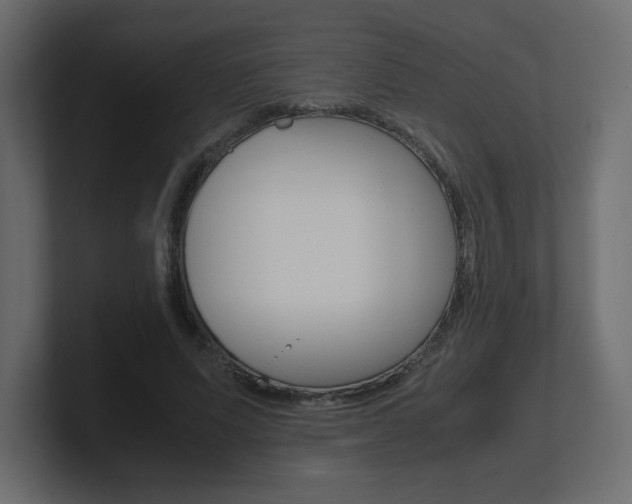 X0000101190591200806270849
