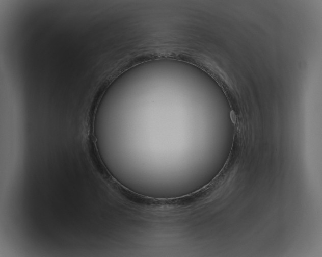 X0000101190593200806270849