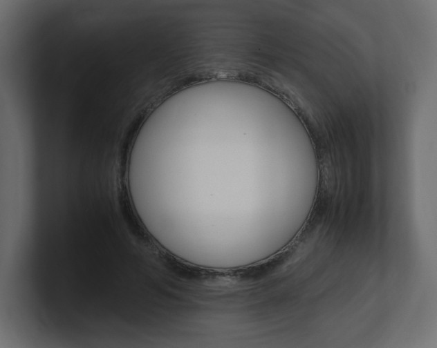 X0000101190594200806270849