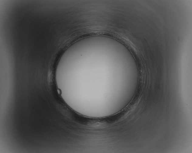 X0000101190597200806270849