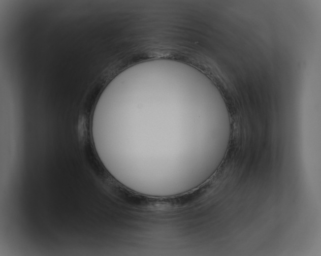 X0000101190598200806270849