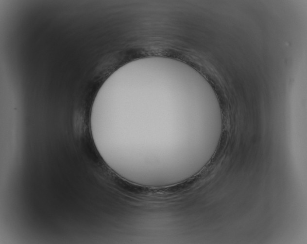 X0000101190599200806270849