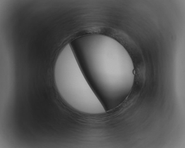 X0000101190600200806270849