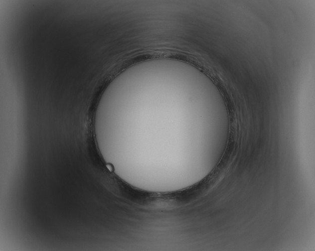 X0000101190601200806270849