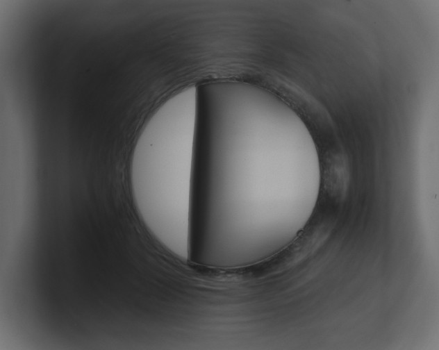 X0000101190604200806270848