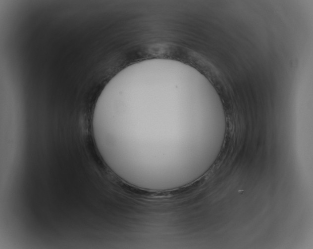 X0000101190606200806270848