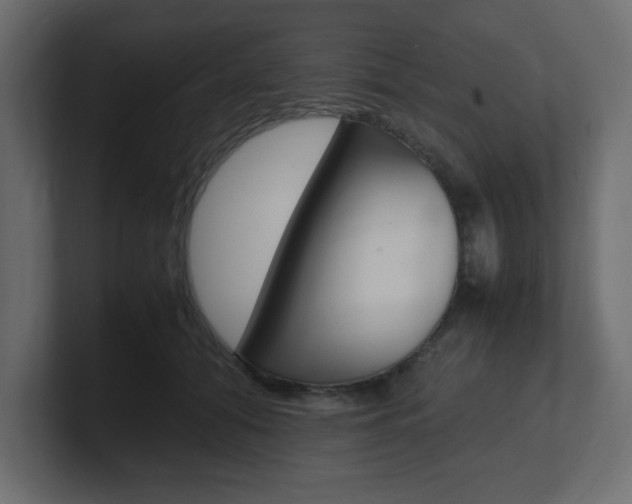 X0000101190608200806270848