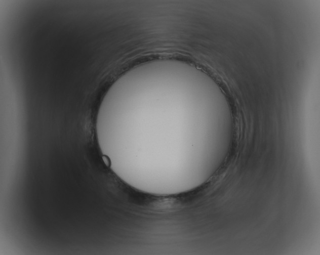 X0000101190609200806270848