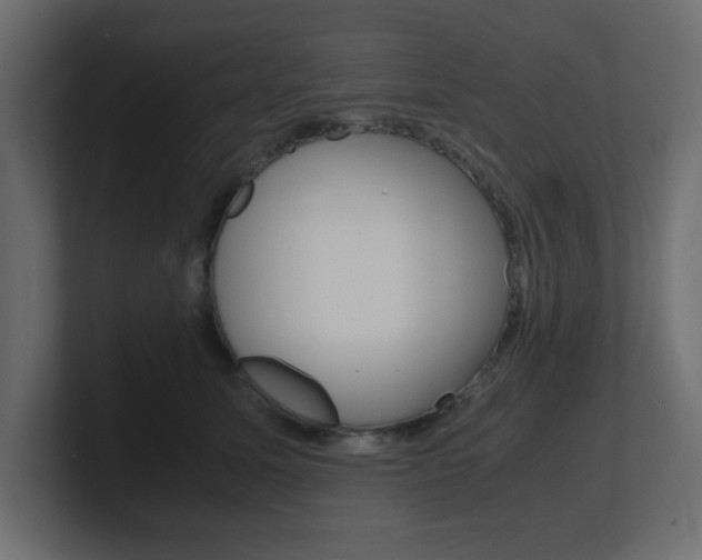 X0000101190611200806270848