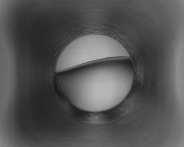 X0000101190612200806270848