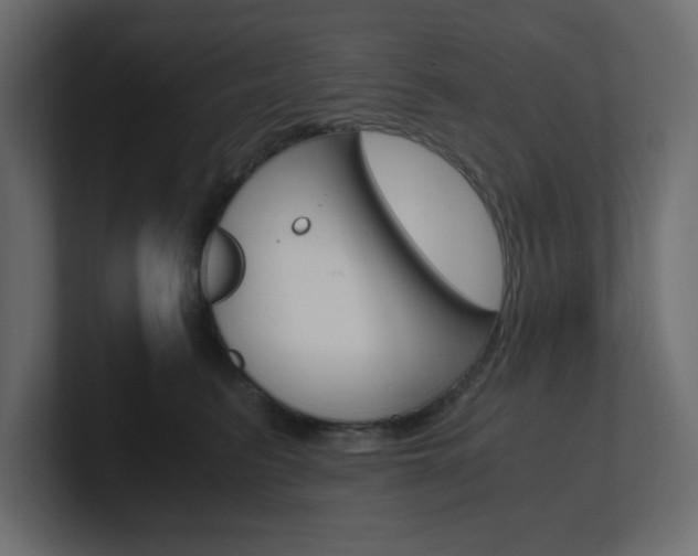 X0000101190615200806270848