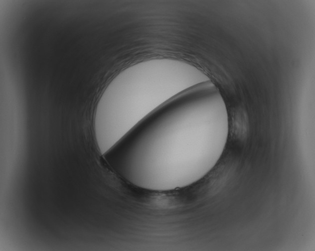 X0000101190616200806270848