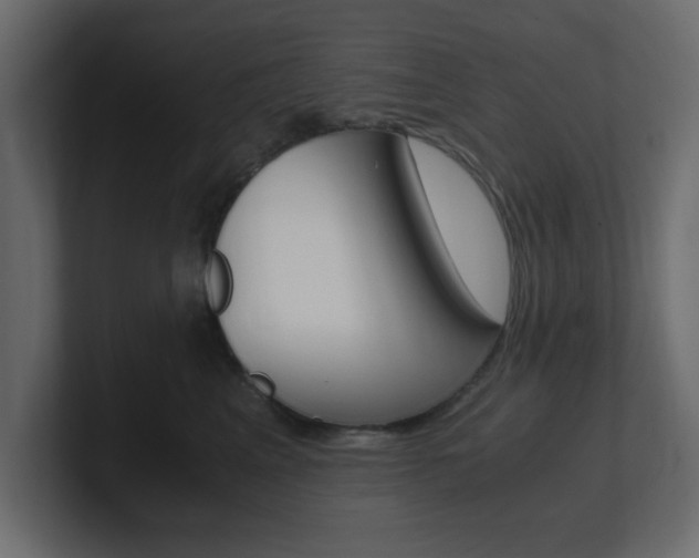X0000101190617200806270848