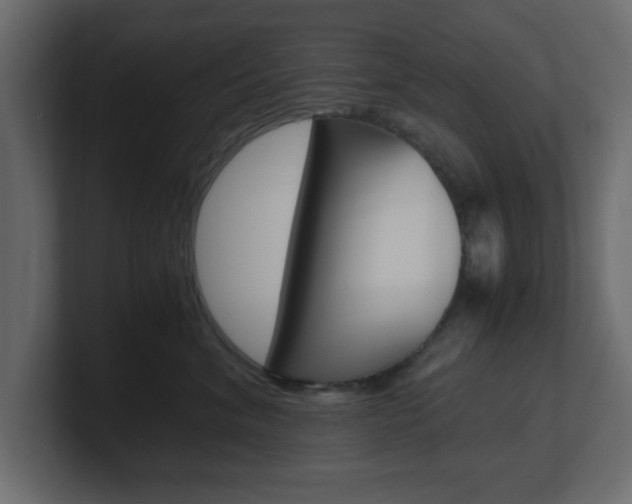 X0000101190620200806270848