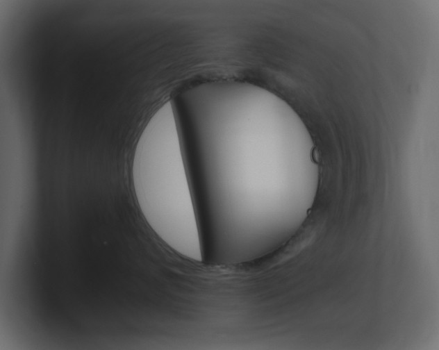 X0000101190624200806270848
