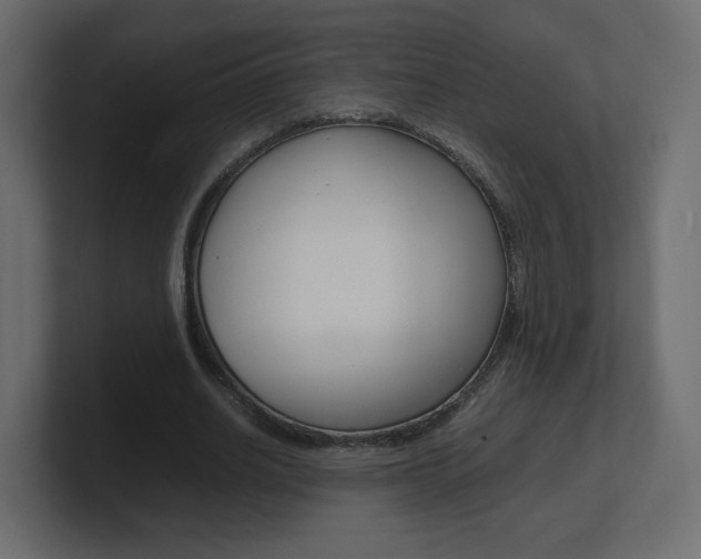 X0000101190630200806270848