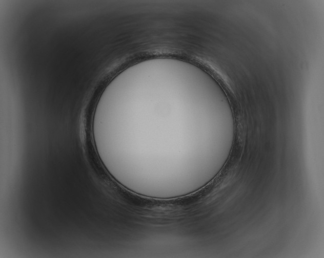 X0000101190631200806270848