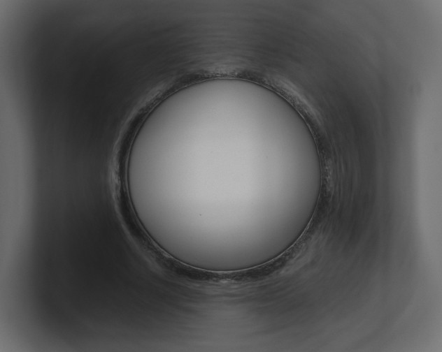X0000101190634200806270848