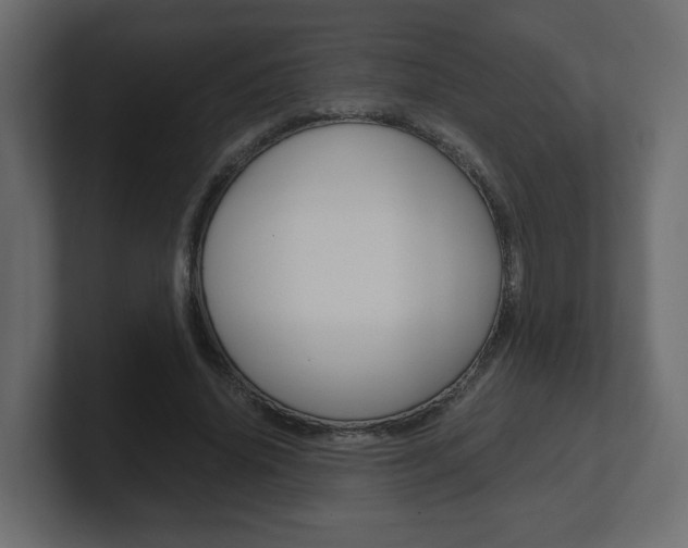 X0000101190636200806270848