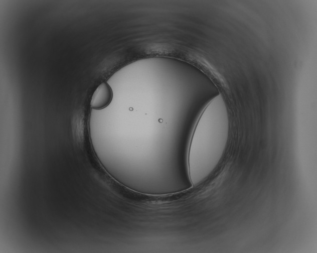 X0000101190637200806270848