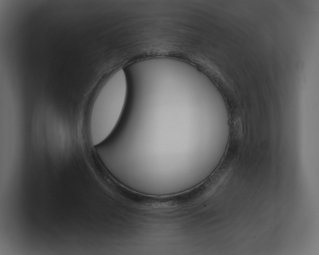 X0000101190638200806270848