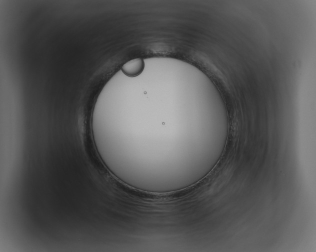 X0000101190639200806270848