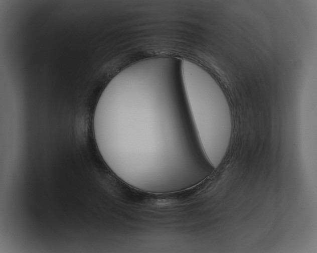X0000101190645200806270848