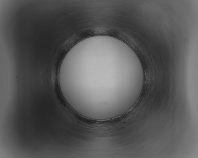X0000101190648200806270848