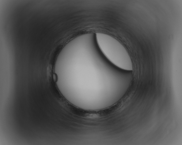X0000101190649200806270848