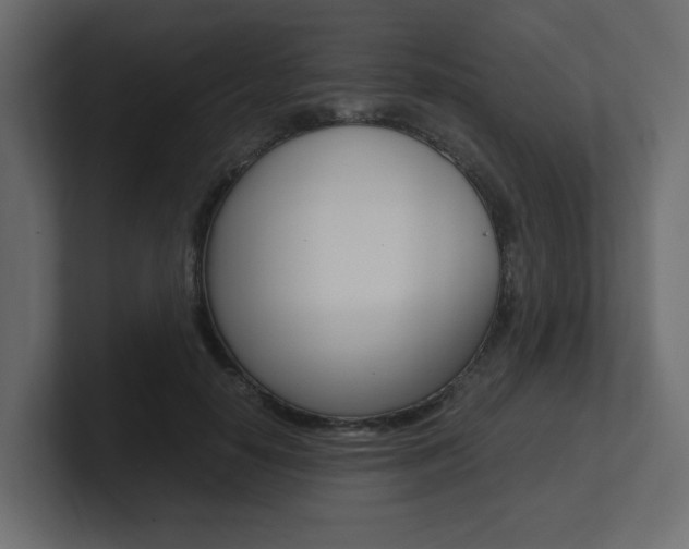 X0000101190650200806270848