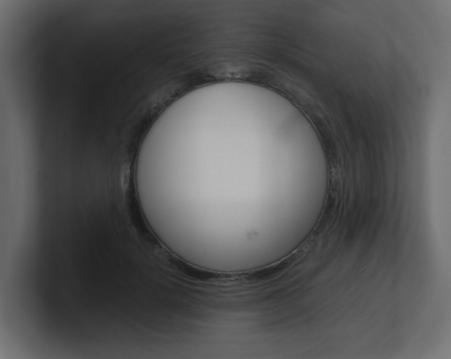 X0000101190652200806270848