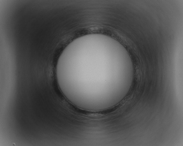 X0000101190654200806270848