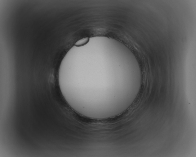 X0000101190655200806270848