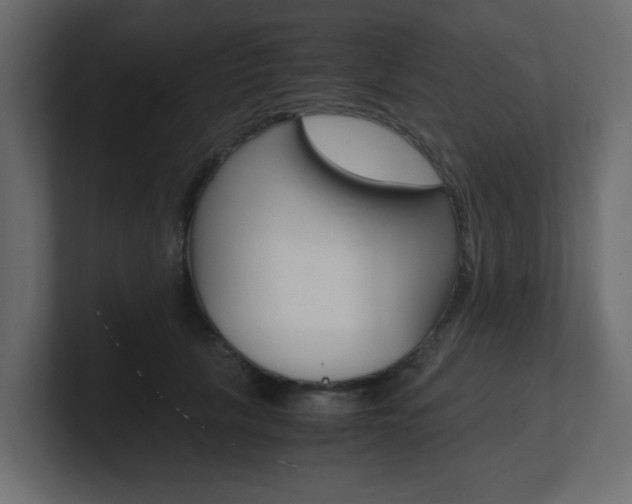 X0000101190657200806270848