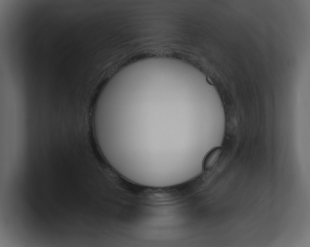 X0000101190658200806270848