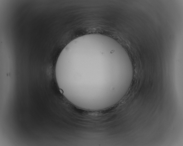 X0000101190659200806270848
