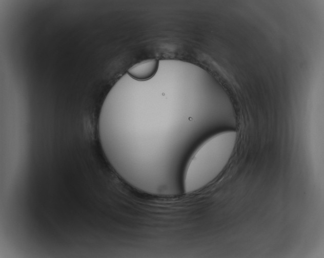 X0000101190661200806270848