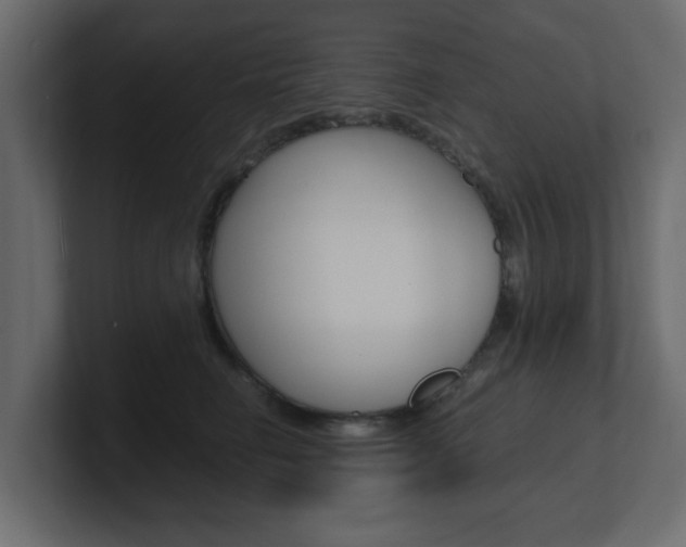 X0000101190662200806270848