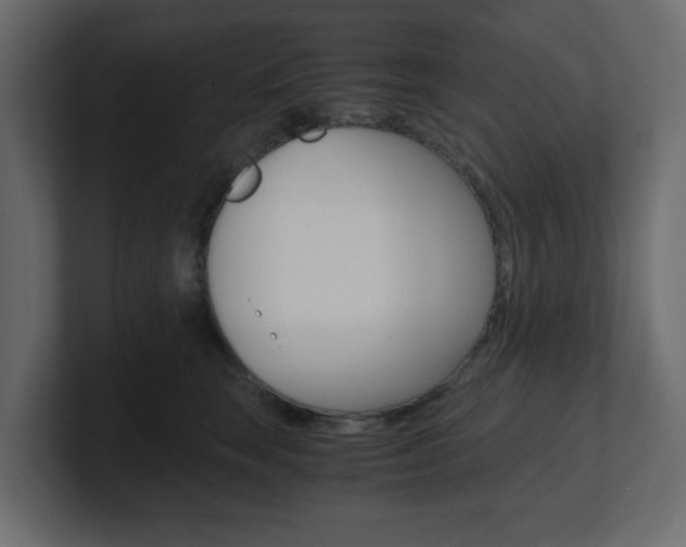 X0000101190663200806270848