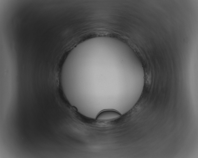 X0000101190666200806270848
