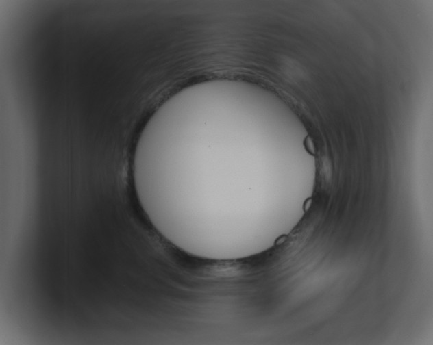 X0000101190668200806270848